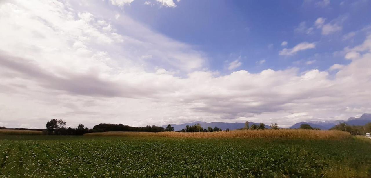 Villa Cigolotti Vivaro Esterno foto